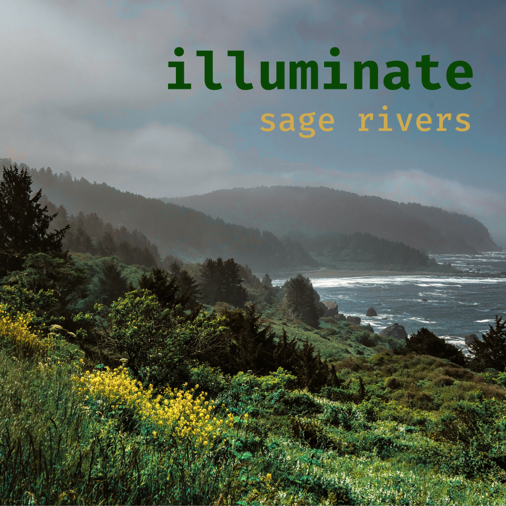illuminate Vinyl EP